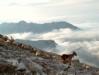 Cabezo Tortorios, Picos da Europa, 2004